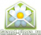 Логотип компании Доставка цветов Гранд Флора (ф-л г.Краснотурьинск)